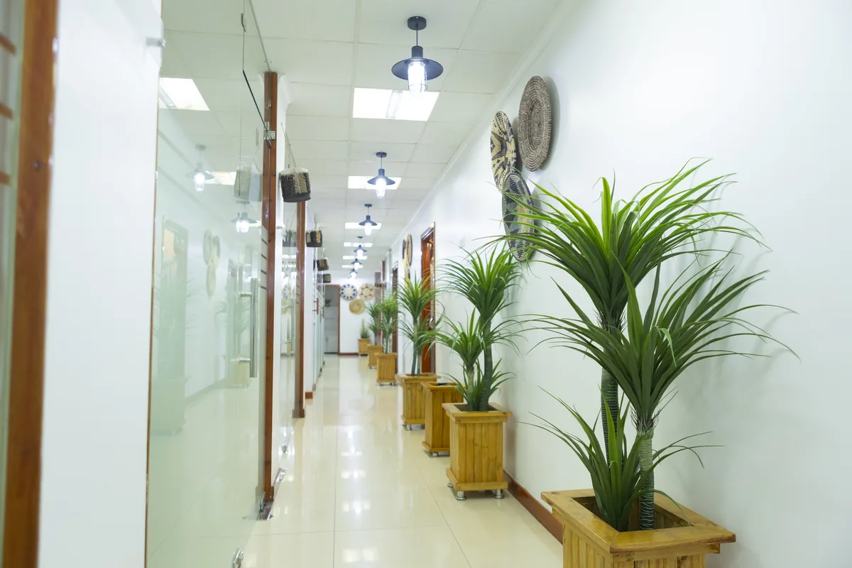 Virtual office reception